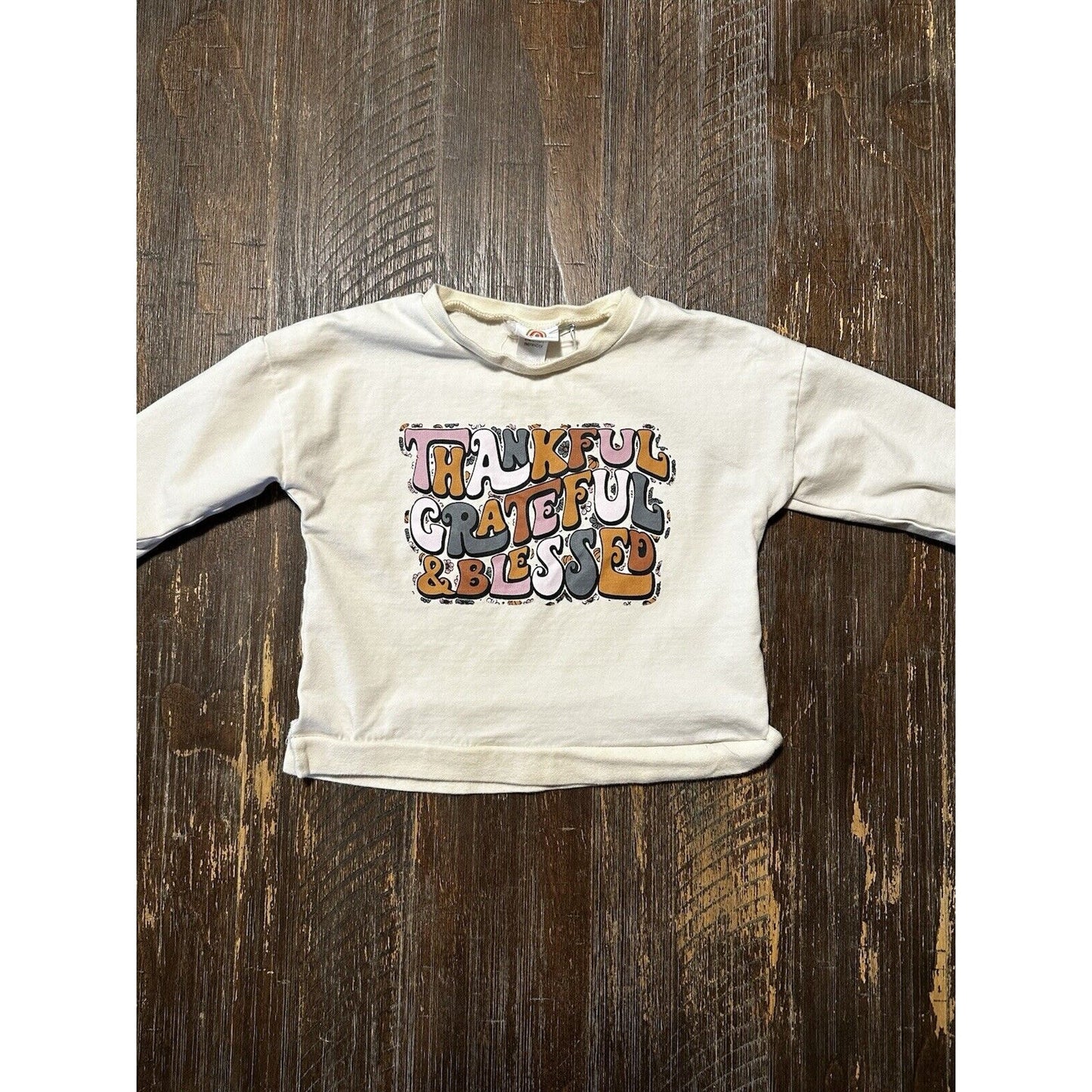 Abbie & Evie Long Sleeve THANKSGIVING Blouse Size 2T
